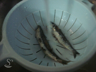 Ricetta Pasta e ceci alla romana - Step 2